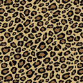 All Occasion Leopard Wrapping Tissue (20"x30")